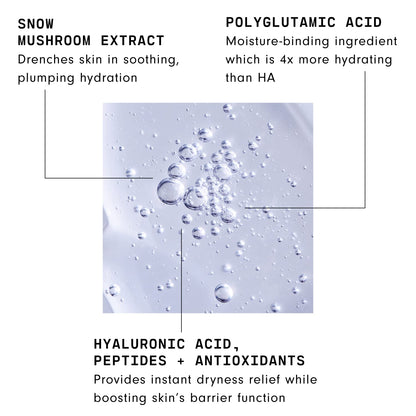 Versed Moisture Maker Hydrating Hyaluronic Serum - Lightweight Face Serum for Dry Skin, Moisturizing Polyglutamic Acid + Snow Mushroom Extract for Soothing, Plumping Hydration Day & Night (1oz) C3